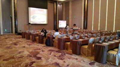 第七届中国国际镍业峰会