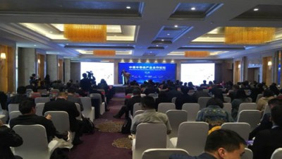 中荷半导体产业合作论坛