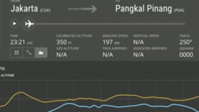 Pings detected in search for Lion Air plane