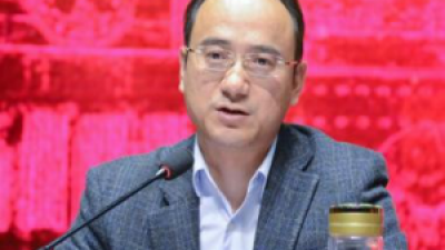 中国认知翻译与生态翻译话语体系-王建华