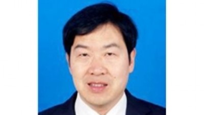 认知翻译的意象图式翻译模型-杨朝军
