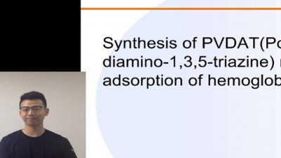 PVDAT（聚2-乙烯基-4,6-二氨基-1,3,5-三嗪）纳米粒子的合成及其对血红蛋白的吸附-谢逊