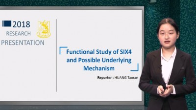 SIX4的功能研究及可能的内在机制-黄陶然