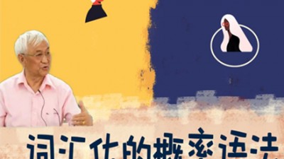 词汇化的概率语法-冯志伟
