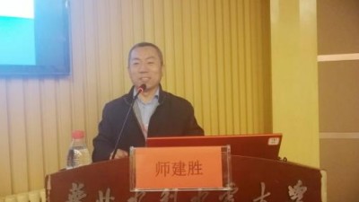 从语料库到术语库：聚焦行业领域语言资源的深耕细作-师建胜