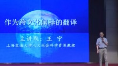 作为跨文化翻译的阐释-王宁