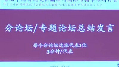 分论坛/专题论坛总结发言