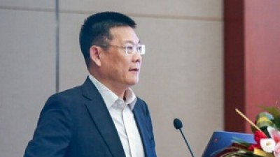 中国语言服务业：成就、挑战和未来发展-仲伟合