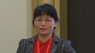 人工智能机器翻译技术与应用-丁丽