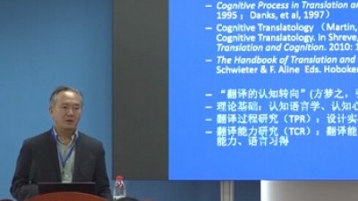 认知翻译学与生态翻译学视角下的典籍英译研究：过程与方法-朱源