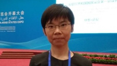 高校中译外翻译人才培养的探索和建议-张颖