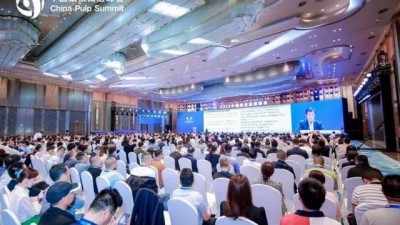 2023中国纸浆高层峰会