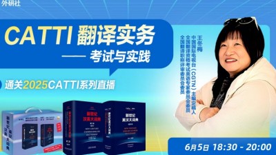 CATTI 翻译实务：考试与实践 - 王冬梅