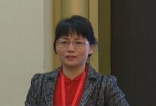 人工智能机器翻译技术与应用 - 丁丽-TTV 译直播:语言服务专属
